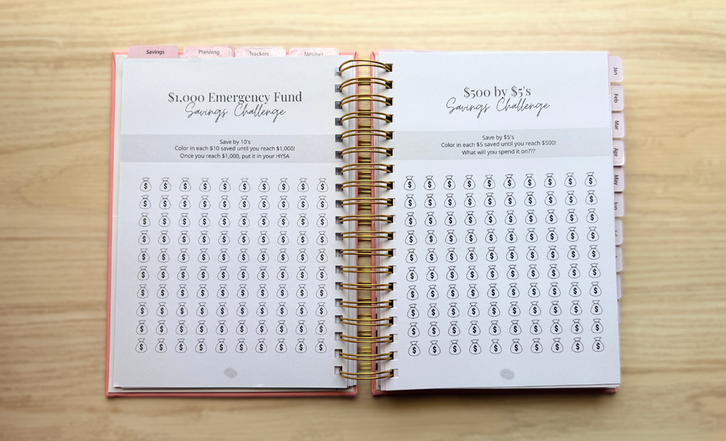 12-Month Finance Planner (Undated)