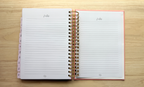 12-Month Finance Planner (Undated)